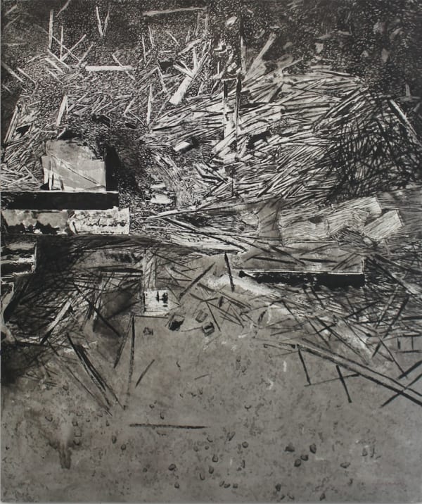 Gayan Prageeth, Apperceiving 1983 V, 2017