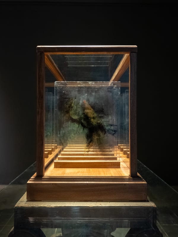 Liz Fernando - Untitled 12, 2024