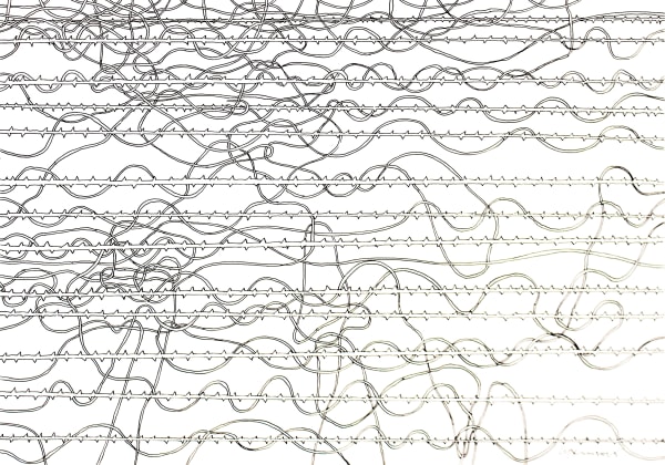 Chandraguptha Thenuwara Neo-Glitch Thorns, 2025 Ink on Paper 30 x 42 cm 11 3/4 x 16 1/2 in