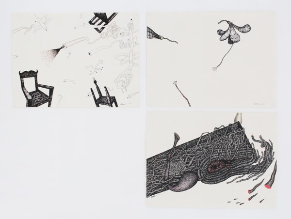 Pakkiyarajah Pushpakanthan, THE DISAPPEARANCE OF DISAPPEARANCES IX, 2018