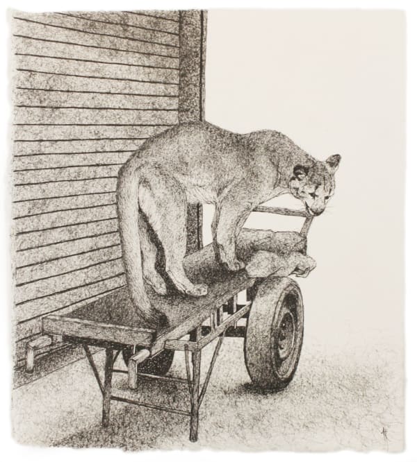 Firi Rahman Cougar, 2018 Pen on Paper 18 x 17 cm 3 1/2 x 2 7/8 in