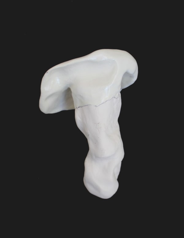 Fabienne Francotte, Still Life | Nature Morte 9, 2022