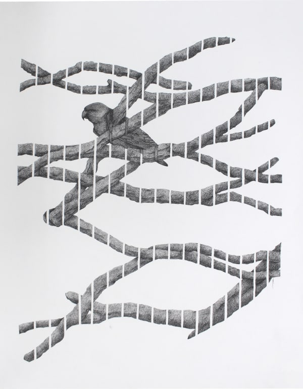 Firi Rahman Perch to Perch, 2024 Mixed Media 57 x 76 cm 22 1/2 x 29 7/8 in