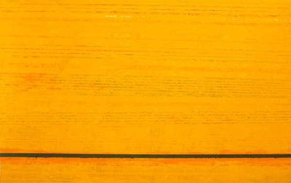 Chandraguptha Thenuwara Khaki & Saffron, 2023 Acrylic on Canvas 153 x 244 cm 60 1/4 x 96 in