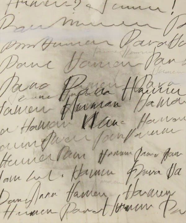 HASHAN COORAY, Parahuman II, 2019