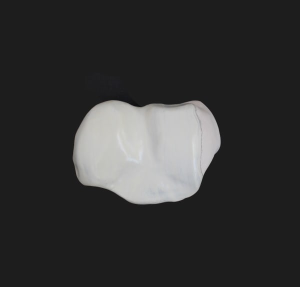 Fabienne Francotte, Still Life - Nature Morte 18, 2022