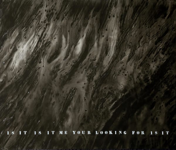 Saskia Pintelon, Is it Me You Are Loking For?, 2017