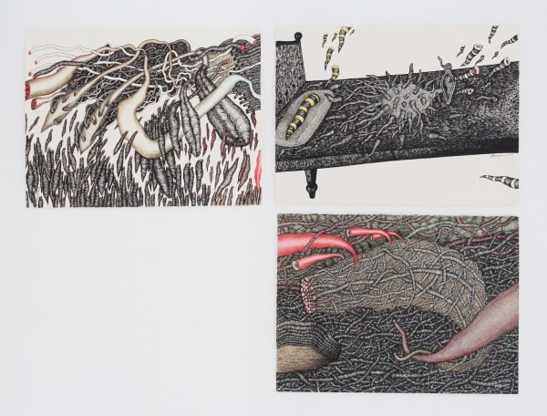 Pakkiyarajah Pushpakanthan, THE DISAPPEARANCE OF DISAPPEARANCES VIII, 2018