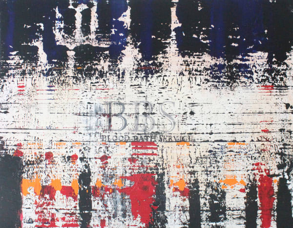 Chandraguptha Thenuwara, BBS/ BLOOD BATH SERVICE, 2019