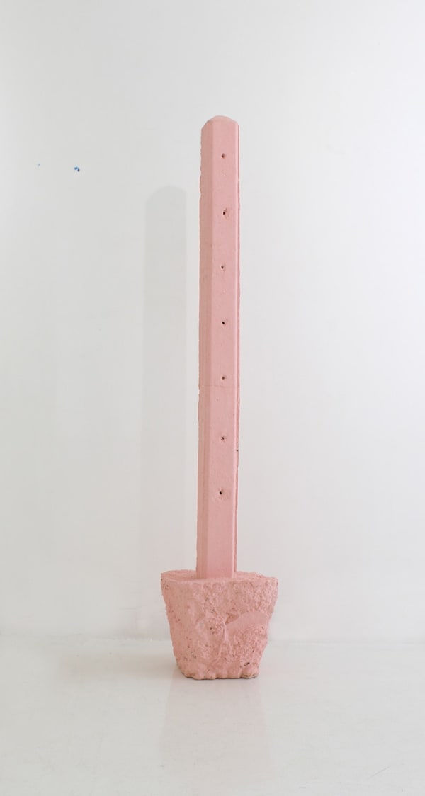 Jagath Weerasinghe, Fence Post, 2016