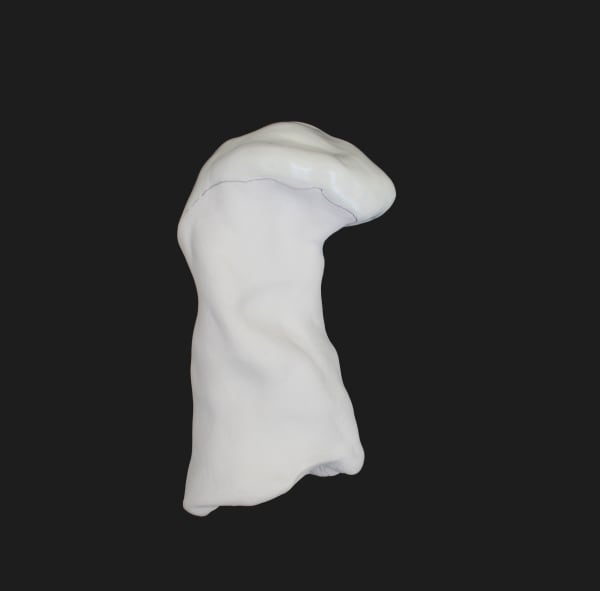 Fabienne Francotte, Still Life | Nature Morte 8, 2022