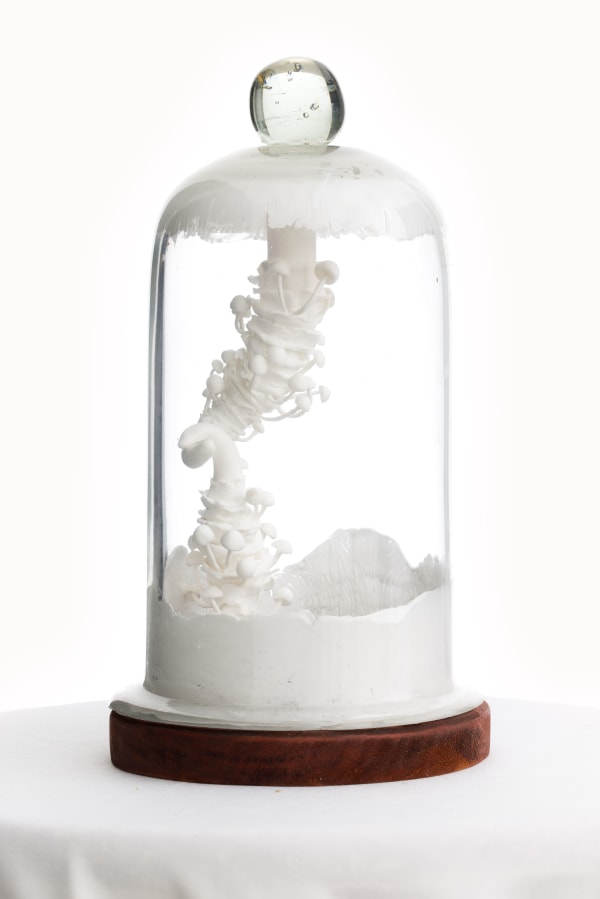 Dumiduni Illangasinghe Spiral of Renewal , 2024 Rubber and Plasticine Clay 25 x 12 cm 9 7/8 x 4 3/4 in