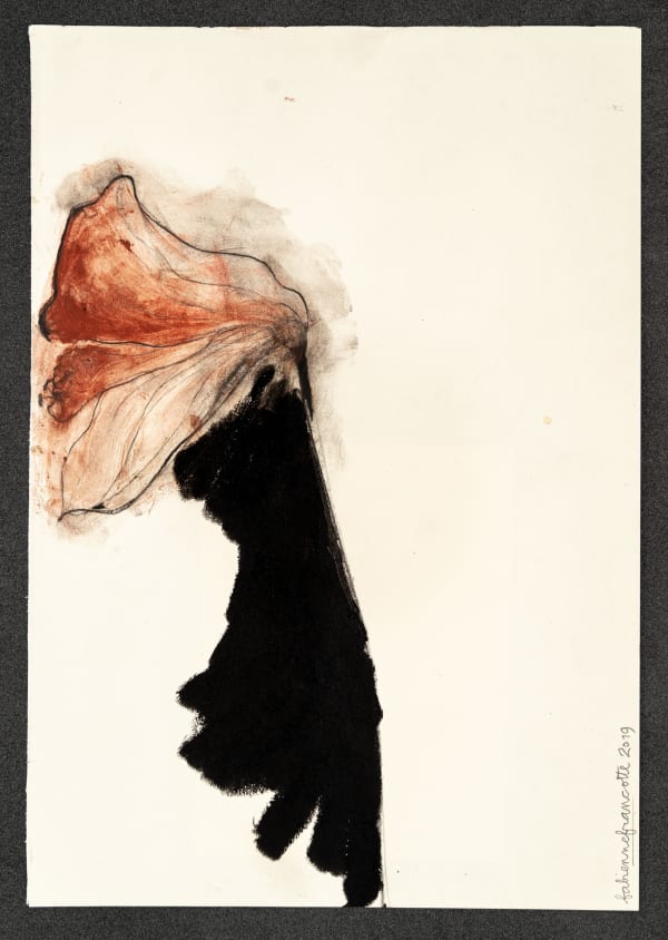 Fabienne Francotte, 62