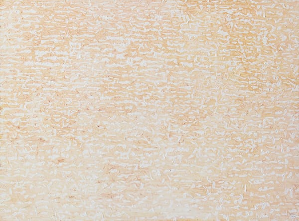 Chandraguptha Thenuwara Erasing Camouflage, 2009 Acrylic on Canvas 91 x 121 cm 35 7/8 x 47 5/8 in