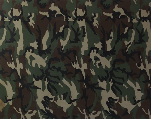 Chandraguptha Thenuwara, Camouflage, 2007