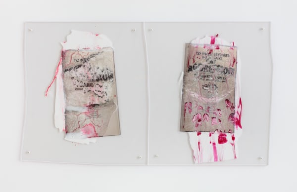 On Aggression, On Agression, 2016 Acrylic polymer and inkjet prints on acetate on Plexiglas, and hardware Two objects, each irregular, overall 24 x 41 ½ x ½ inches (61 x 105.4 x 1.3 cm)