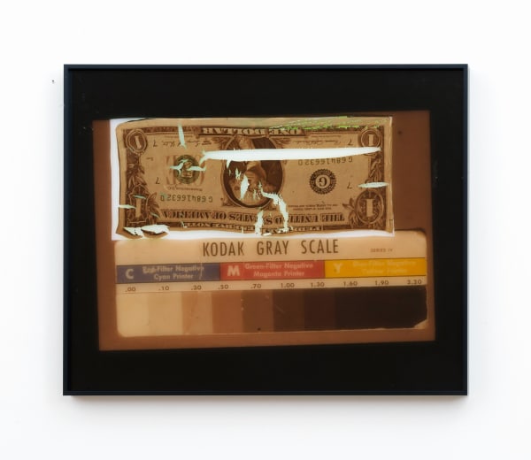 Dollar Test (University of Michigan Extension), 2018 Acrylic polymer and inkjet print on acetate mounted to Plexiglas 16 x 20 inches (40.6 x 50.8 cm)