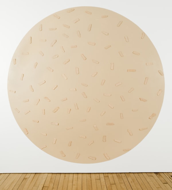 Panning (Injury Solution), 2010 Painted polymer clay, panel nails, paint 9 ft. diameter
