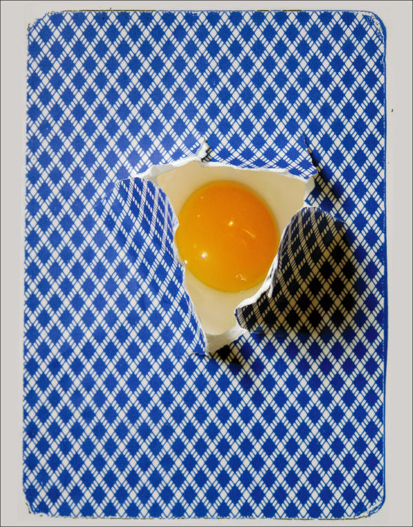 Card and Egg (Cover for PICA Artist Book)