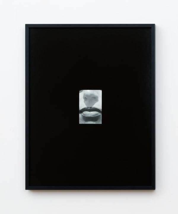 5, 2018 Gelatin silver print 20 x 16 inches (50.8 x 40.6 cm)