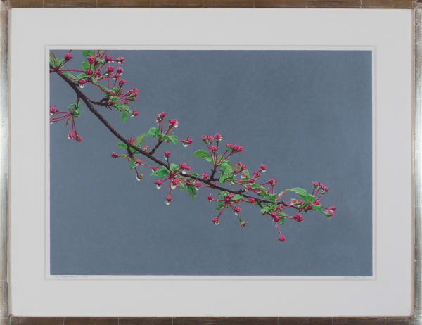 Don Eddy, The Repentant Thief, 1993