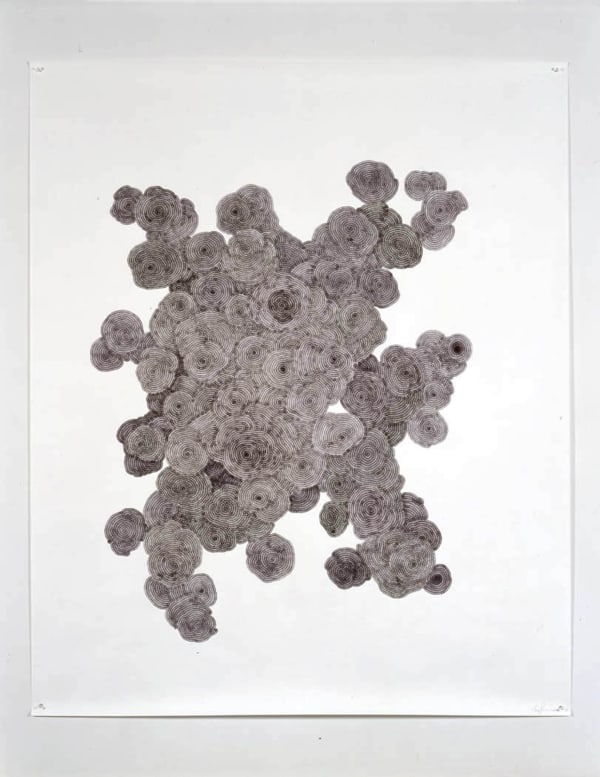 Tara Donovan, Untitled, 2003