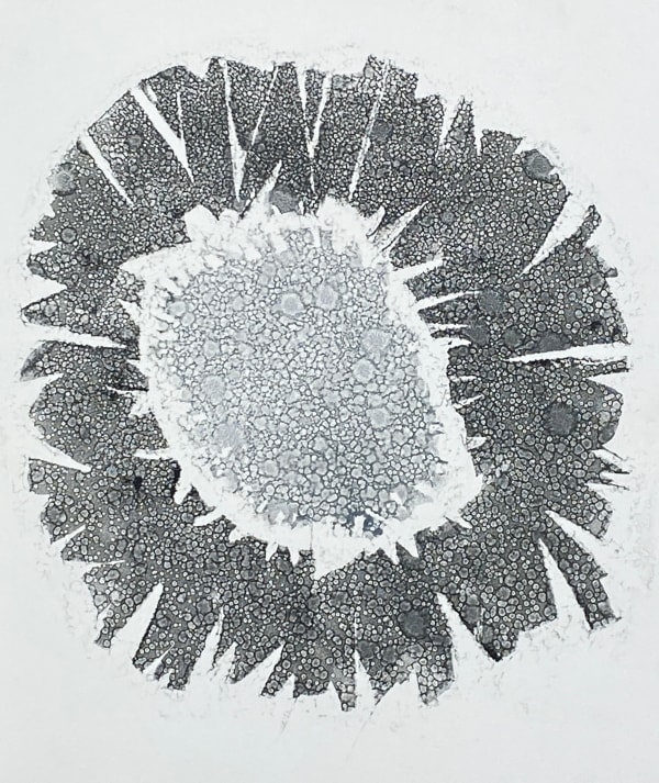 Howard Jeffs, Grey Jagged