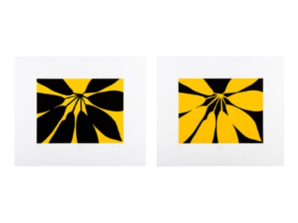 Jan Hendrix, A.N.Y. plates 9A and 9B, 2019