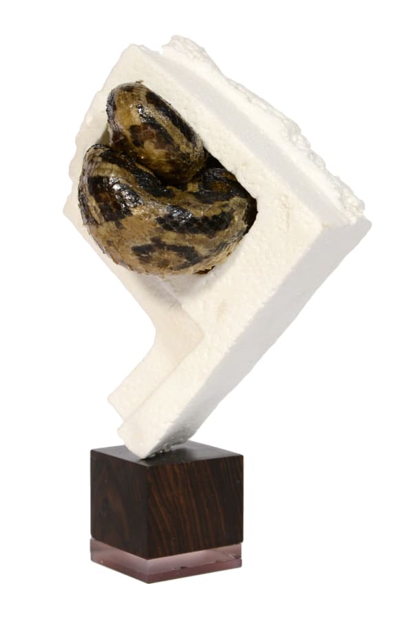 Polly Morgan - Polly Morgan, More than Ever, taxidermy snake, 2017, 2017