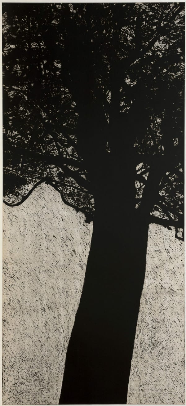 Jan Hendrix, Sylva IX (Guard), 2019