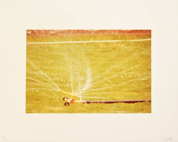 David Hockney, Untitled (Sprinklers), 1976