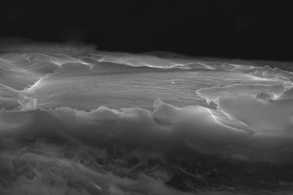 Anouk De Clercq, Atlas, 2016