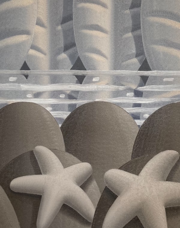 Laurens Legiers, resting sea stars, 2021