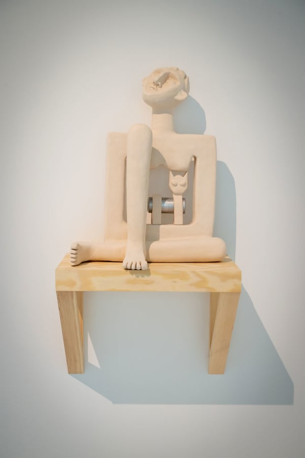 Dirk Van Saene, I'm mad about cats. Aren't you mad about them? I guess I've always been mad about cats, 2022