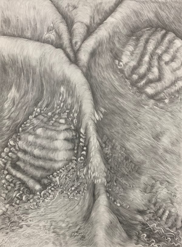 Tom Hallet Through the sheen, a landscape, 2022 Graphite on paper 57 x 75 cm