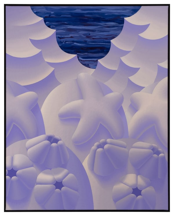 Laurens Legiers, Untitled (Snowy Barnicles and Sea Stars), 2024