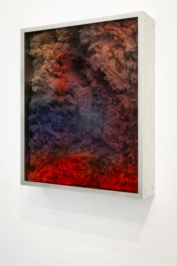 Filip Vervaet, Evening, River Court Park, 2024