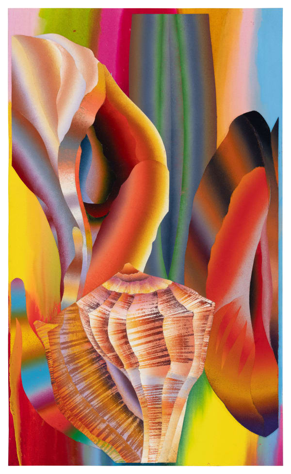 Hadassah Emmerich, Schelpencollectie (elongated), 2024