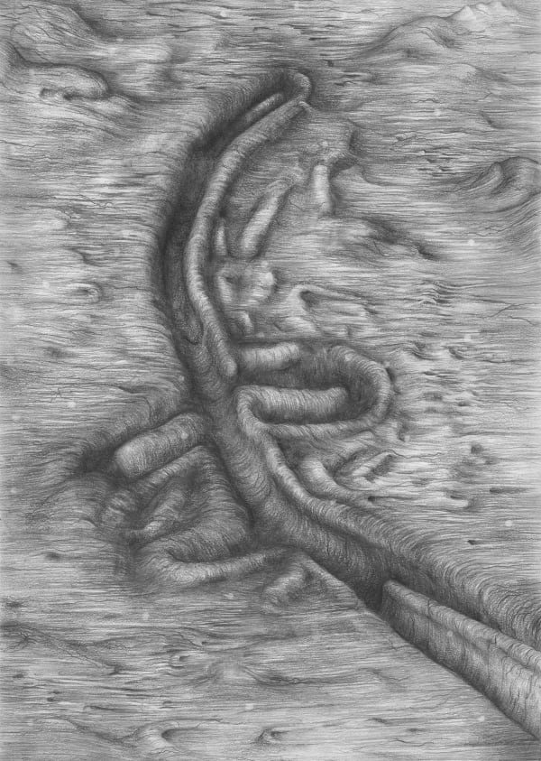Tom Hallet To Sarah, 2020 Graphite on paper 21 x 29,7 cm