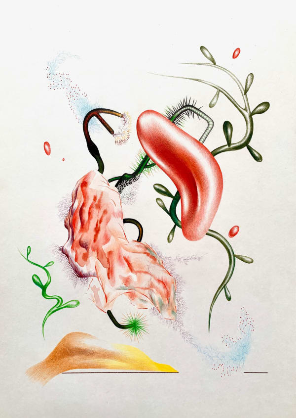 Elena Minyeyevtseva, Caesar’s Blood Cell Salad, 2020