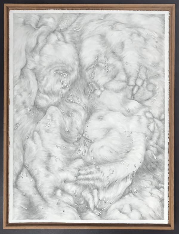 Tom Hallet To Jean, 2020 Graphite on paper 57 x 75 cm