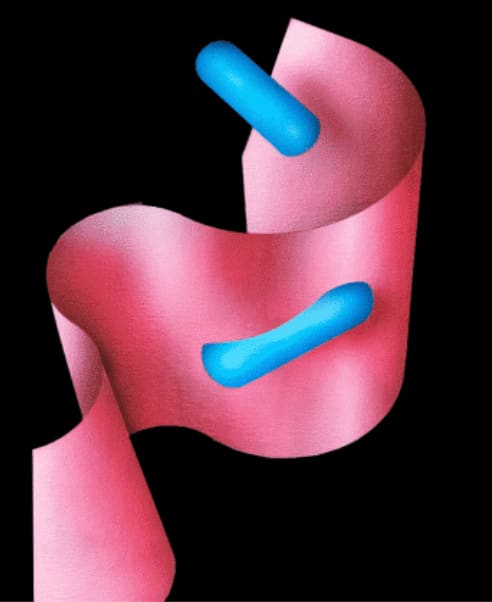 Elise Willems, Three pills, 2022