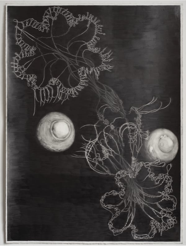 Tom Hallet Protostar 1, 2022 Graphite on paper 57 x 75 cm