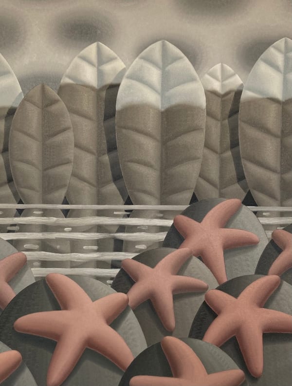Laurens Legiers, Resting sea stars, 2021