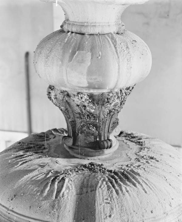 Max Pinckers, MMXX-07, 2020