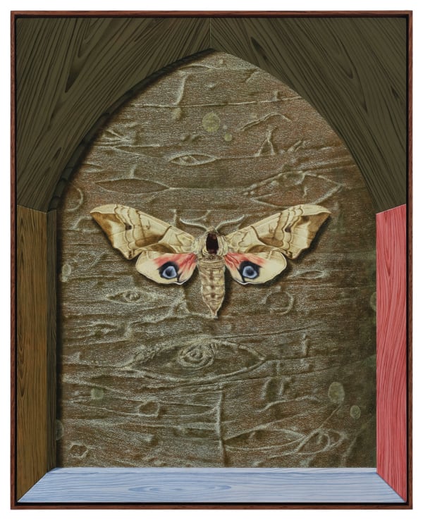 Dittmar Viane, Eyed Hawk, 2024