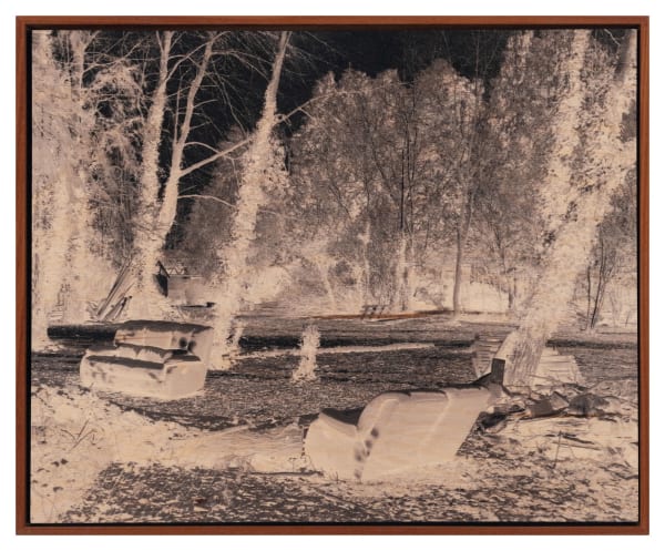 Ives Maes, Camp, 2023