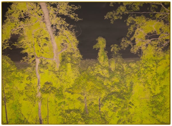 Ives Maes, Forest, 2021