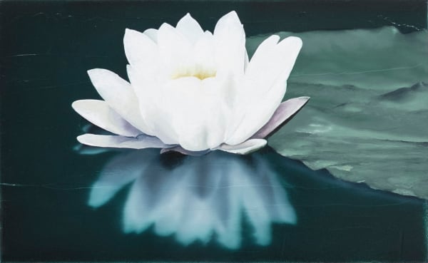 Sarah De Vos, A day, a week, a month, a year Every second brings me here, 2022