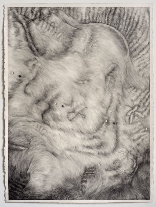 Tom Hallet Carving Away My Skin In Search Of Your Odeur, 2022 Graphite on paper 57 x 75 cm